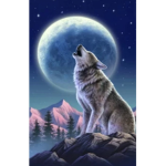 Sunny's Wolf Pack