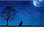 The Wolf Group :) :)