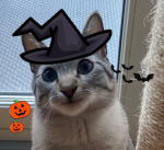 very festive Group Thumbnail