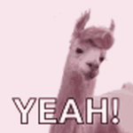 Llama Yeah