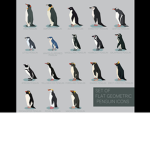 Pingu's group.