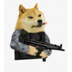 Club Doge For Doges
