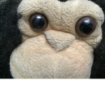 MONKE MONKE MONKE YES MONKE EPIC