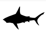 Black shark army