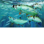 FISHING FUN