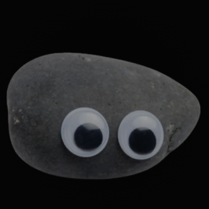 Pet Rock Tool! (V2)