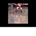 the cool official chicken cult