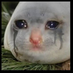 los noobs cacahuatitos :v