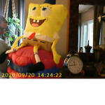 sponge of the bob a.k.a. king spongebob