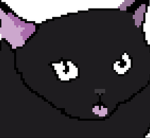 Silly goofy cat studio