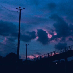 ✧