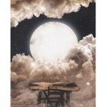 #Team Moon_