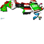 بس العرب