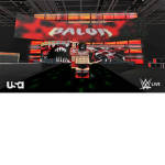 -World Wrestling Entertainment-