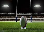 Rugby League (Mini)
