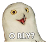 Squawk squawk