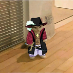Red Haired Pirates (YT Official group)