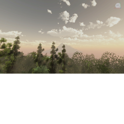 I Would Not Call This The Beige Forest