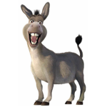 DONKEY!!!!!