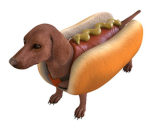 hotdogdog creations