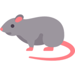 rat cuties 12345