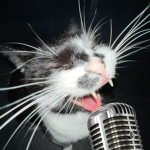 LiveMusic