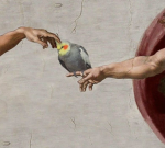ᴋɪɴᴠɪ ᴏꜰ ᴘᴇᴀᴄᴇ