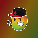 Mango's Jerseys