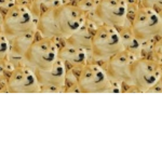 -The Doge army -