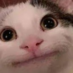 CATS OF THE DARK SUN