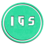 Insanity Gaming Studio