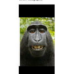Lv_Name