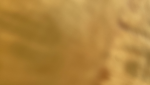 The commderdoGE group