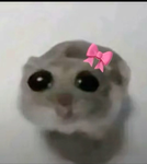I vampiri