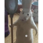 Grffingsz
