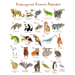 animal power!