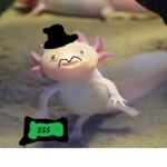 AxolotsOcean