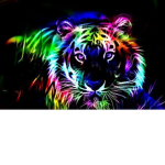 ~Neon~Incorporated~