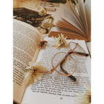 Book Bunch