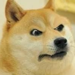 The doge army of the best