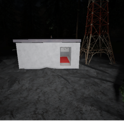 Survive in the forest at night