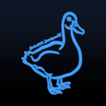 Seducktive Development