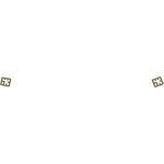 63rd PCT Jacket Brass