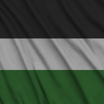 Government of The Order
