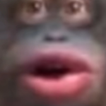 Yeet#lit