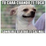 coronavirus es malo