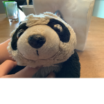 Pandas are the best!!!!