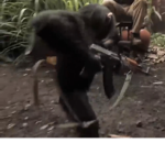 monkeyman123