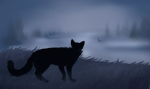 Rise of the Clans (warrior cats)