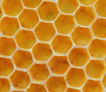 Honeycomb Court ( SG )